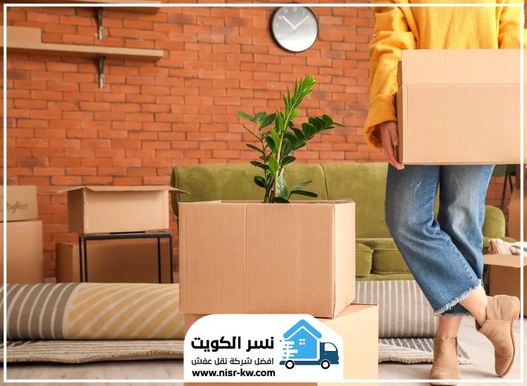 نقل عفش في الصبية